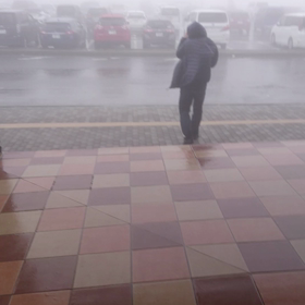 春分の日の参拝（2）の画像