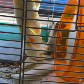 独り遊びの画像