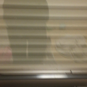 このハチなにバチ？の画像