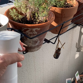 ベランダの鳥被害 その後の画像