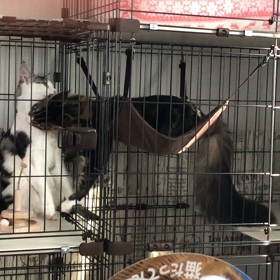 ひたすら食べてるKai君の画像