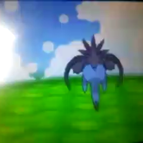 テストテストの画像