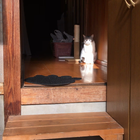 なんで❓お天気なのにの画像