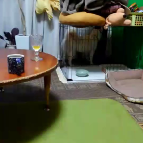 この瞳に♡♡♡の画像