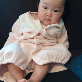 オスワリの画像