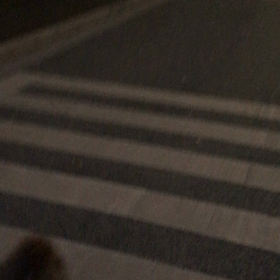 ♪お散歩動画♪代々木公園♪③の画像