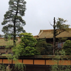 平成31年4月30日の画像