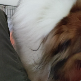 チビタンの頃と変わらずの画像