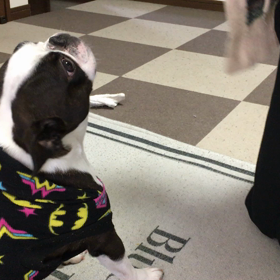 練習すればできるんだ！の画像