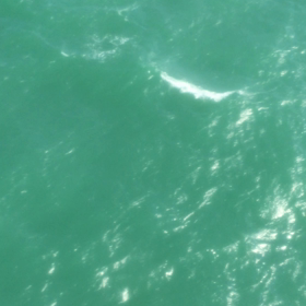 飛びます、飛びますの画像