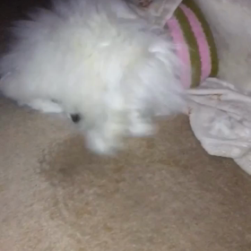 いつもビックリ(￣O￣;)の画像