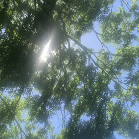 自然の恵の画像