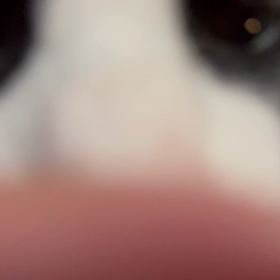 じゃじゃ、うちの子2年の画像