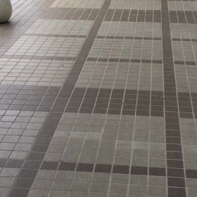 おはよう猫ちゃんの画像