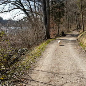 チンピラ学校に行く③の画像