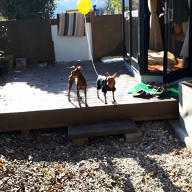 最初の一歩の画像