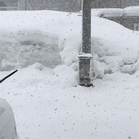 吹雪き始めの画像