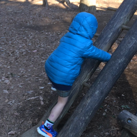 楽しい森の公園(*´∀`)♪の画像