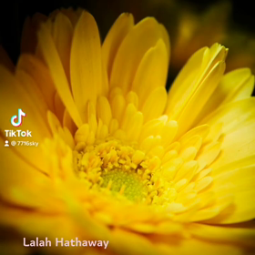 のぼせたから、また、数時間後に更新します(*^◯^*)の画像