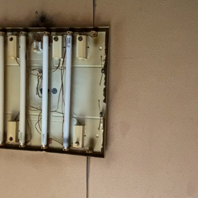 しもんさーの画像