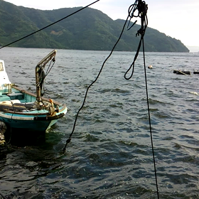 遅ればせながらの画像