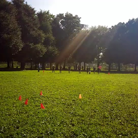 学年別インターバル(紺・黄緑・その他)⑧の画像