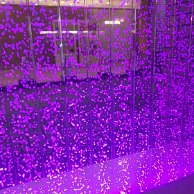 決めたことに忠実に！の画像