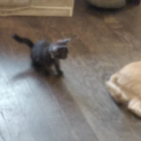 雨‼️雨‼️雨‼️の画像