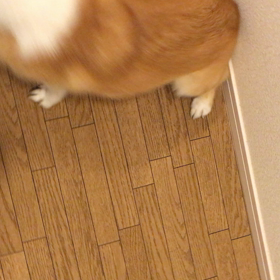 好き過ぎての画像