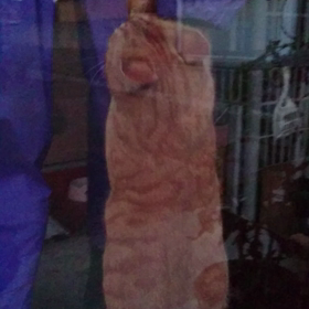 いつから？の画像