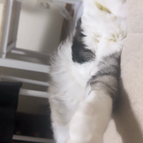 大雨大風気をつけてね【松岡雅士】の画像