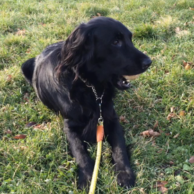 雪、降らないね。の画像