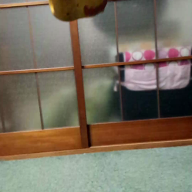 スッポン？の画像