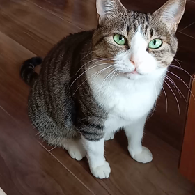 *あまえんぼうな朝♡の画像