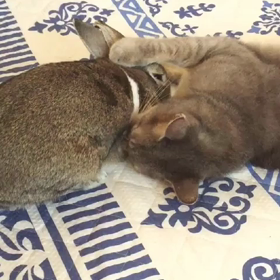 んで、こうなるよね♡の画像