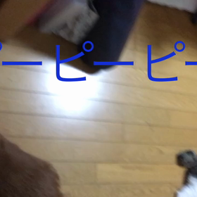 朝のお仕事、チップとデールの字幕付き動画。の画像