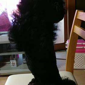 ちょうだいちょうだいの画像