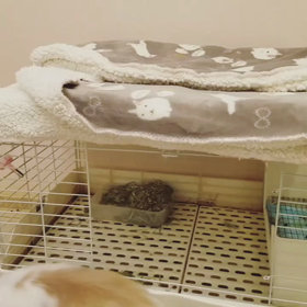 ジャンプとホリホリ。の画像