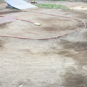 ぴょんぴょんの画像