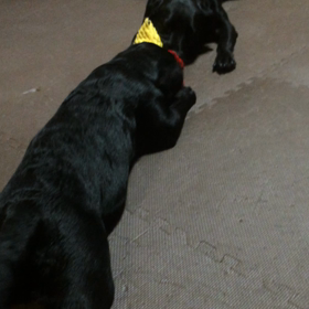 ナツアキ  15日目   朝からの画像