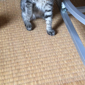 ハンガー怖いの画像