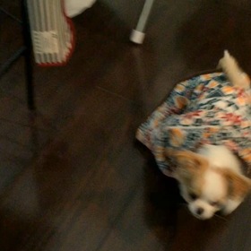 ずるずるの画像