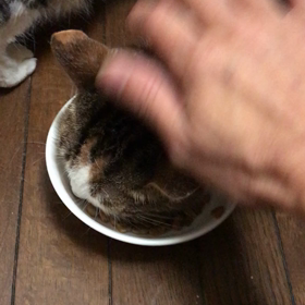 小夏姫 ますます可愛いく❤️の画像