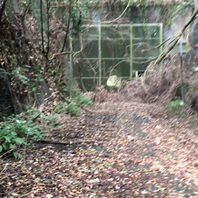 心霊トンネルの画像