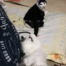 あ。遅かった…の画像