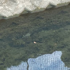 温水疑惑の画像