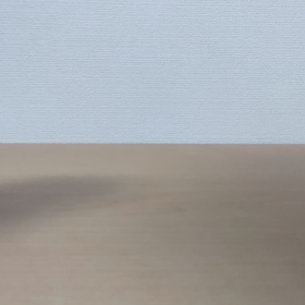 まだ紹介してなかったスクイーズ　パート1の画像