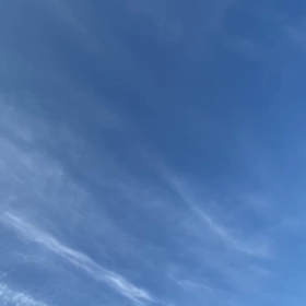 2023年3月5日（日）のおわらサーキットの画像