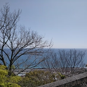 今日は散歩にゴーの日の画像