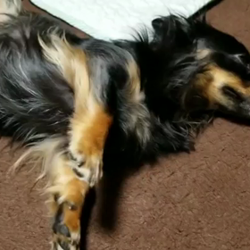 更新手続き終了＼(^-^)／の画像